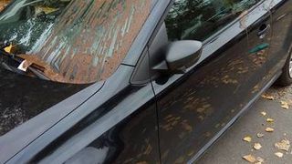 Un barbat din Iasi s-a trezit cu toata masina manjita de fecale. Explicatia e fabuloasa!