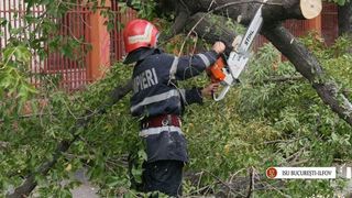 Peste 50 de copaci smulsi de vant in Capitala, fiind avariate 41 de masini. Mai mult de zece interventii sunt in derulare