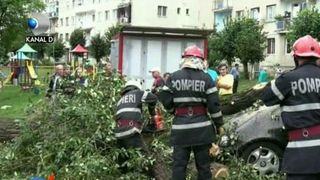 Bucuresti: Un copac a cazut peste o aripa a spitalului Obregia; pana la aceasta ora au fost doborati de vant 65 de copaci si au fost distruse 45 de masini