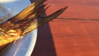 A cumparat un peste si a vrut sa-l gateasca, cand a facut o descoperire socanta: "De cand am gasit asta, nu mai pot manca nimic"