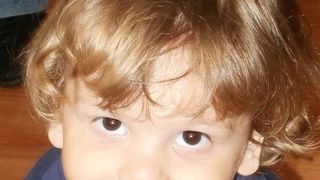 Probleme pentru afaceristul condamnat pentru moartea lui Ionut Anghel! Pierderi uriase pentru firma care detine terenul pe care baiatul a fost ucis de caini