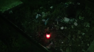 Tragedie in Romania: un tanar de doar 19 ani a coborat dintr-un vagon cu castile pe urechi si a fost spulberat de un tren de pe cealalta linie. VIDEO