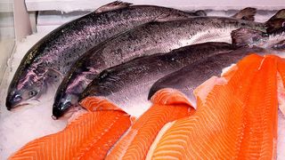 Un roman din Baia Mare a ridicat o superafacere cu somon afumat pe care il importa in tarile nordice. Tehnica a furat-o din Norvegia si face bani frumosi