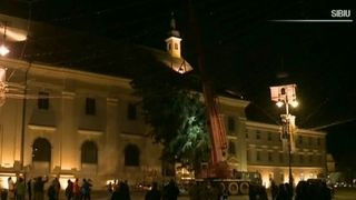 Operatiune dificila la Sibiu! Cum a fost transportat bradul imens de Craciun in Piata Mare