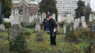 Are 77 de ani si i se spune "Doctorul". E ireal cu ce se ocupa. Are cea mai ciudata meserie din Romania! Ai putea sa faci asta?