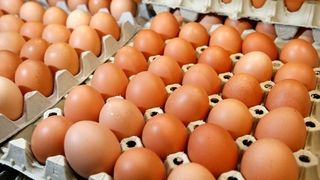 Criza de oua la Suceava! Este halucinant cat a ajuns sa coste un ou