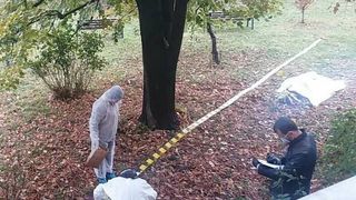 Ce s-a aflat despre tanarul din Oradea gasit mort si cu capul zdrobit? Coincidenta e prea mare!