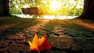 Fenomene neobisnuite in luna noiembrie! Meteorologii explica de ce a fost atat de cald astazi, in toata tara!