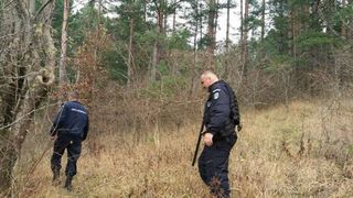 Batran de 91 de ani din Prahova, atacat de urs in propria curte. Batranul a fost dus de urgenta la spital