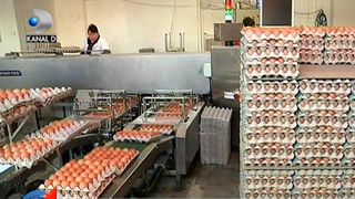 Razboi fara precedent intre autoritati din cauza scumpirilor! De ce s-au scumpit ouale si untul atat de mult?