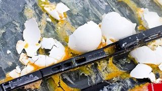 Timisoara: Persoane necunoscute au aruncat cu oua in autobuze ale regiei de transport local, perturband circulatia