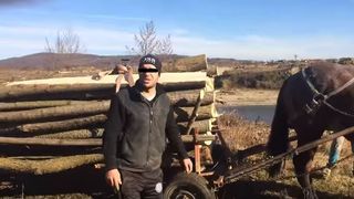 Politisti amenintati cu moartea de catre hotii de lemne vranceni!