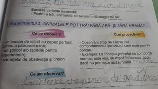 Elevii de clasa a doua invata din manuale cum sa chinuie animalele!