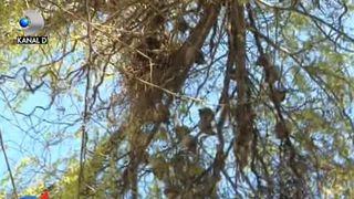 O imagine cum rar vezi li se arata celor care ajung &icirc;n curtea Casei de Asigurari de Sanatate din Iasi. Iata despre ce e vorba!