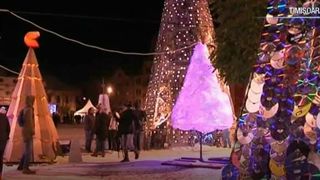 Timisorenii vor avea un Craciun eco. Ce optiuni au pentru a decora casa de sarbatori cat mai eco-friendly