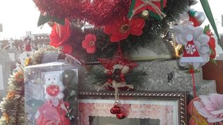 Mariana Sarkany a impodobit bradul la mormantul fiicei ei. Locul de veci al tinerei ucise in incendiu, la Constanta, arata incredibil