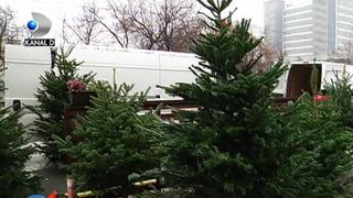 Brazi vanduti clandestin la colt de strada! Care sunt preturile