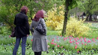 Parcul Herastrau va deveni Parcul Regele Mihai I. Consilier USR: Ne grabim, nu avem nicio dezbatere si nici macar punctul de vedere al Casei Regale