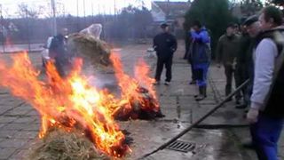 O familie si-a parlit porcul pe trotuar, intr-o zona centrala a orasului. O femeie a fost amendata cu 200 de lei