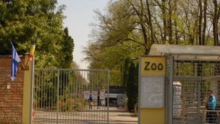 Incendiu la Gradina Zoologica din Londra! Un animal a murit si mai multe persoane au fost ranite!