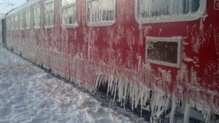 Paguba inestimabila pentru un cioban din Mures! Aproximativ 100 de oi au murit, dupa ce au fost lovite de un tren Interregio