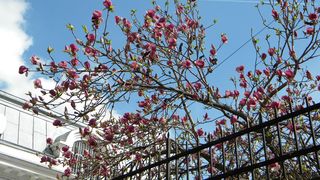 Vremea de Anul Nou va fi mai calda decat in mod normal, cu temperaturi de pana la 13 grade in CapitalaVremea de Anul Nou va fi mai calda decat in mod normal, cu temperaturi de pana la 13 grade in Capitala