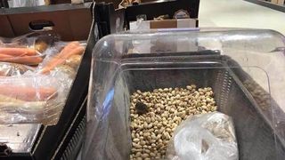 ANPC a amendat un magazin din Piatra Neamt cu suma de 10.000 de lei, dupa ce un barbat a descoperit un soarece in fisticul scos la vanzare