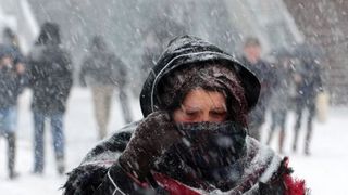 Cod galben de viscol pentru zona montana din patru judete