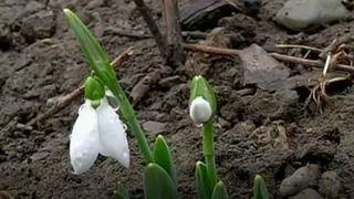 Iarna ar putea fi o prezenta din ce in ce mai rara in Romania!