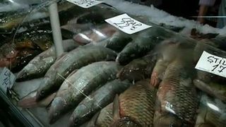 Salaul, pe cale de disparitie in Romania! Braconajul si poluarea ne obliga sa luam peste din import!