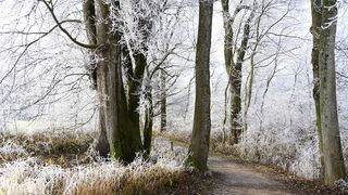 Iata cum va fi vremea in weekend