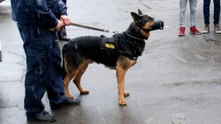 Baietelul dat disparut in Suceava inca de vineri a fost gasit mort la un kilometru de casa