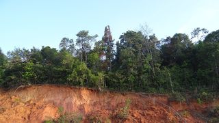 A luat-o pamantul la vale! Cel putin 13 morti in urma unei alunecari de teren!