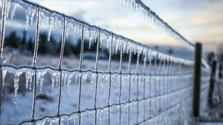 Iarna isi arata coltii! Meteorologii anunta zile de ger si ninsoare!