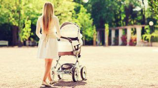 Scene de groaza intr-un parc din Satu Mare! Mama cu un bebelus in carucior, atacati de o haita de caini