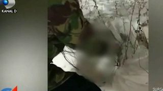 E atat de frig incat au inghetat animalele! Valul polar din ultimele zile este extrem de periculos