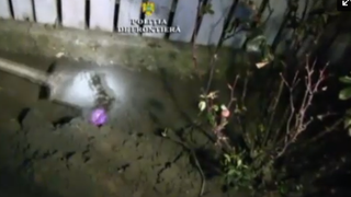 Descoperire socanta a politistilor constanteni. Nu se asteptau sa gaseasca asa ceva, ingropat in curtea unui locanic