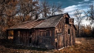 A deschis usa si si-a cutremurat! Descoperire macabra facuta de o femeie intr-un hambar din Vaslui