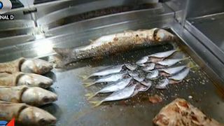 Fructele de mare si pestii din crescatorii pot dauna grav sanatatii