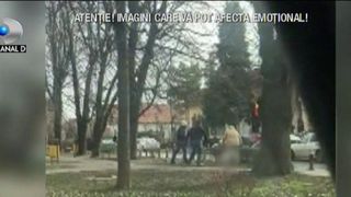 Femeie, atacata de un maidanez intr-un parc din Targu-Jiu - Ce au facut oamenii cand au vazut maidanezul furios