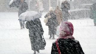 Iadul alb in Vrancea! Copaci doborati, masini avariate, mii de oameni fara curent electric din cauza vantului si a zapezii - E un dezastru