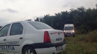 Proprietarul unei paduri din Timis a incremenit cand a vazut ce era langa copac! A sunat imediat la 112