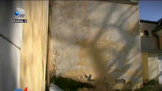 Igrasie si mucegai la Spitalul de Copii din Cluj Napoca! Imagini filmate cu camera ascunsa