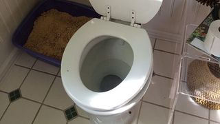 Nu stia ca e gravida si a nascut in WC-ul Spitalului Judetean Arges! Cum este posibil ca in 9 luni sa nu isi dea seama ca e insarcinata