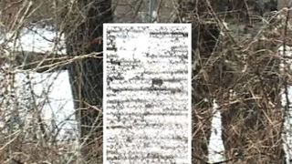 Un adolescent dambovitean a fost gasit spanzurat in padurea de langa casa