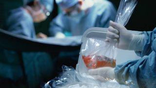 Senatorii au aprobat cea mai controversata lege din istoria tarii! Ce se va intampla cu organele celor care mor incepand cu anul 2020