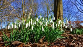 Cele mai inspirate mesaje de 1 martie!