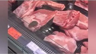Soarece la raftul cu carne! Imagini socante intr-un supermarket din Arges. "Va ia de mana, doamna! Va musca, nu puneti mana pe el!"