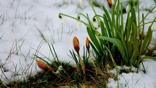 Meteorologii au facut, in sfarsit, anuntul: Primavara vine in Romania! Iata cand se va intampla asta!