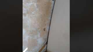 Ancheta la Spitalul de Copii din Galati, dupa ce mama unei paciente a filmat viermi in baia salonului.